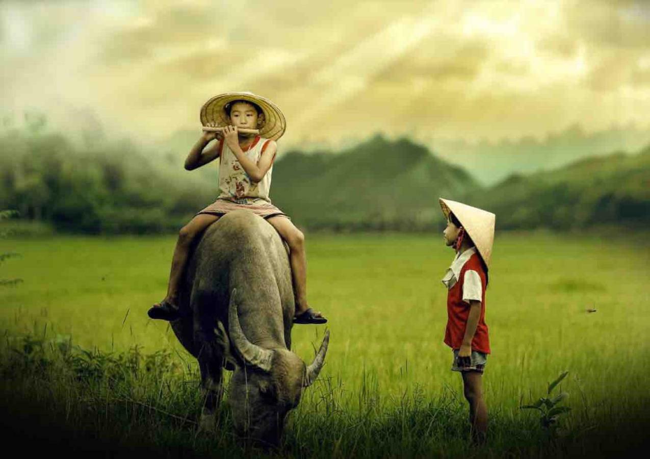 Hang Mua Happiness Homestay Ninh Binh Exteriér fotografie
