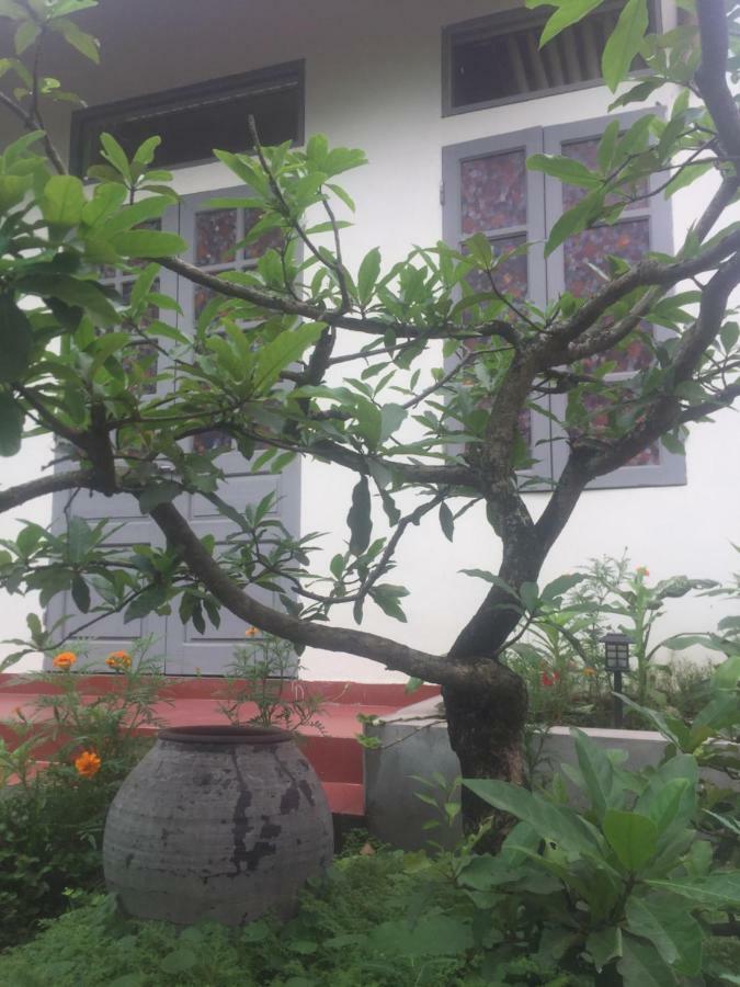 Hang Mua Happiness Homestay Ninh Binh Exteriér fotografie